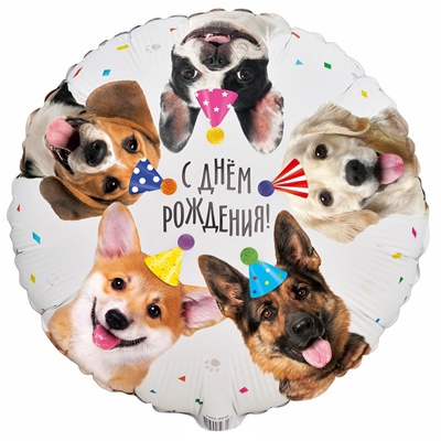 К 18" ДР Собачки фотографичные
