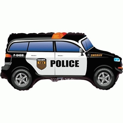 Машина Полиция/FM
