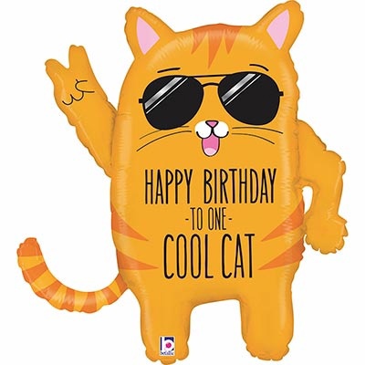 HB TO ONE COOL CAT Кот