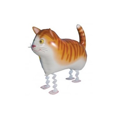 Ходячая Фигура, Кот